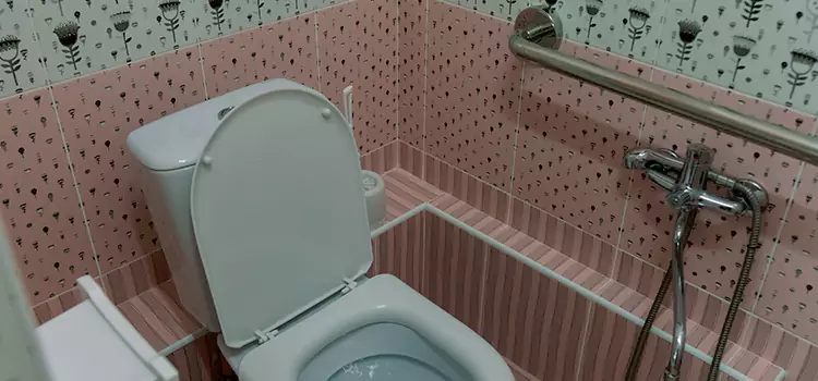 Meeting Diverse Needs With Accessible Restroom Solutions in Antelope, CA