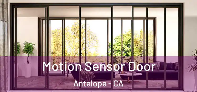 Motion Sensor Door Antelope - CA