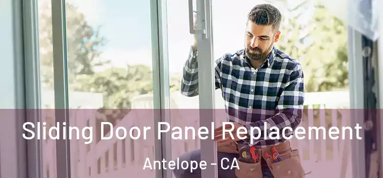  Sliding Door Panel Replacement Antelope - CA